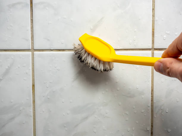 Best Mold Cleaning Services  in Romulus, MI