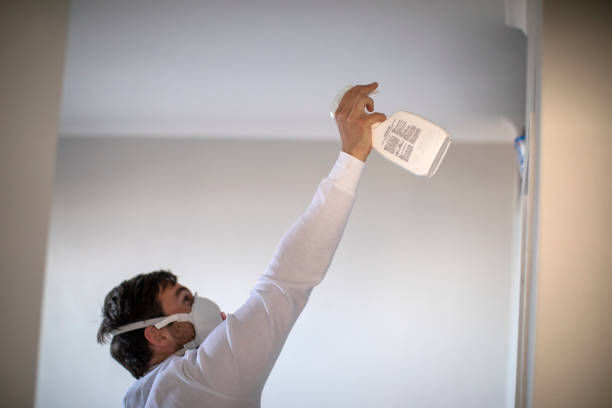 Best Water Damage Restoration  in Romulus, MI