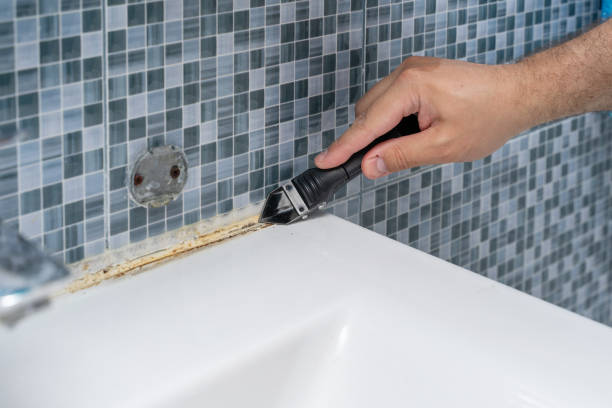 Best Local Mold Removal Service  in Romulus, MI
